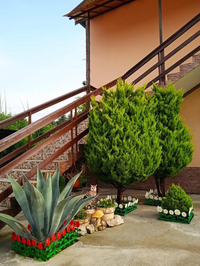 Изабелла Hotel Pizunda Bagian luar foto